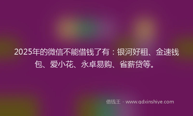 2025年的微信不能借钱了有：银河好租、金速钱包、爱小花、永卓易购、省薪贷等。
