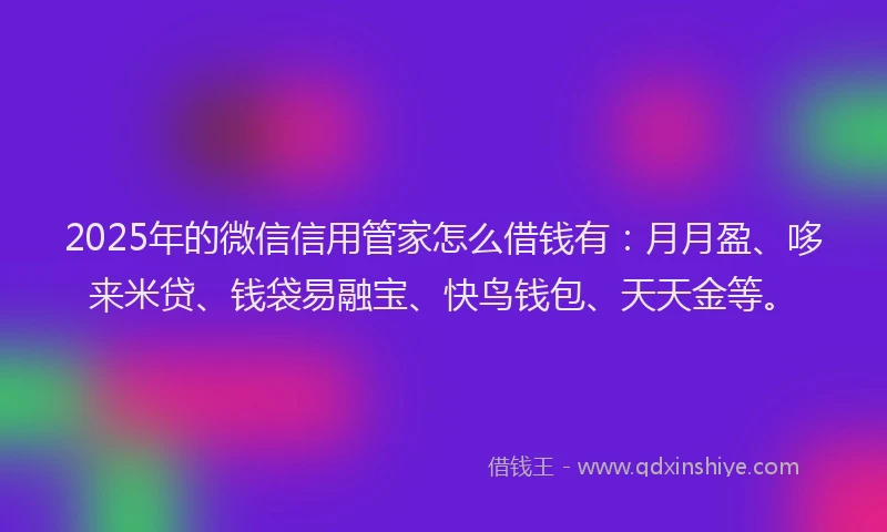 2025年的微信信用管家怎么借钱有：月月盈、哆来米贷、钱袋易融宝、快鸟钱包、天天金等。