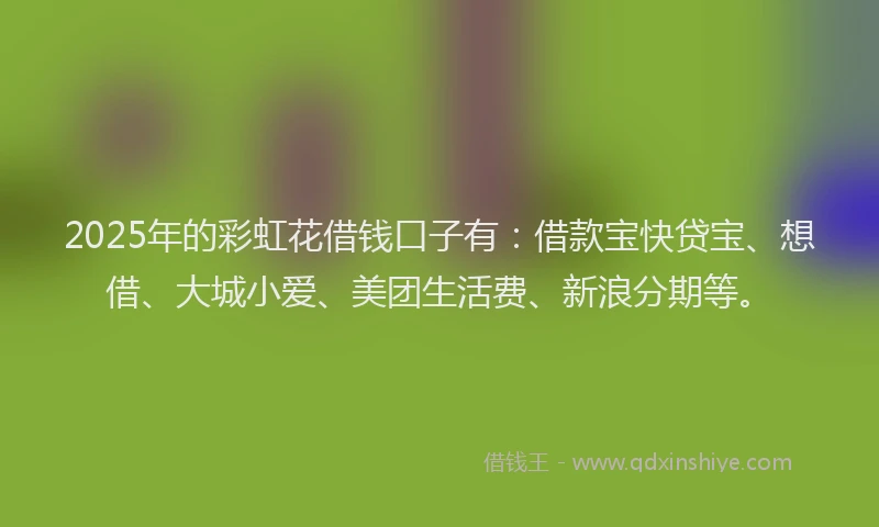 2025年的彩虹花借钱口子有：借款宝快贷宝、想借、大城小爱、美团生活费、新浪分期等。