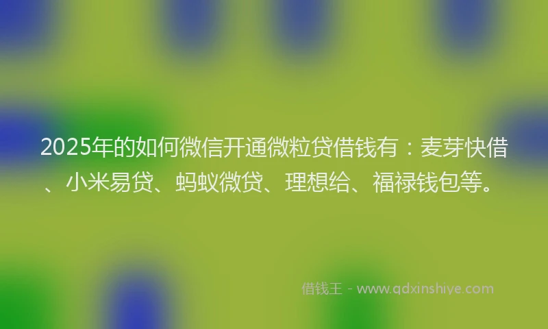 2025年的如何微信开通微粒贷借钱有：麦芽快借、小米易贷、蚂蚁微贷、理想给、福禄钱包等。