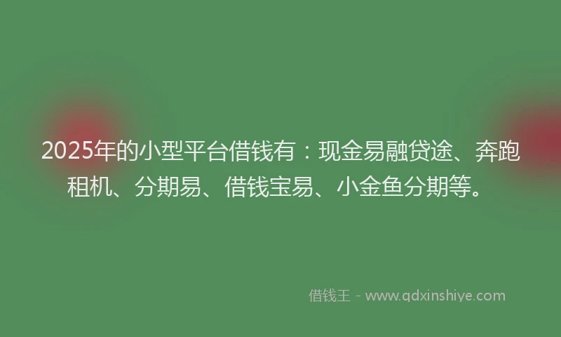 2025年的小型平台借钱有：现金易融贷途、奔跑租机、分期易、借钱宝易、小金鱼分期等。