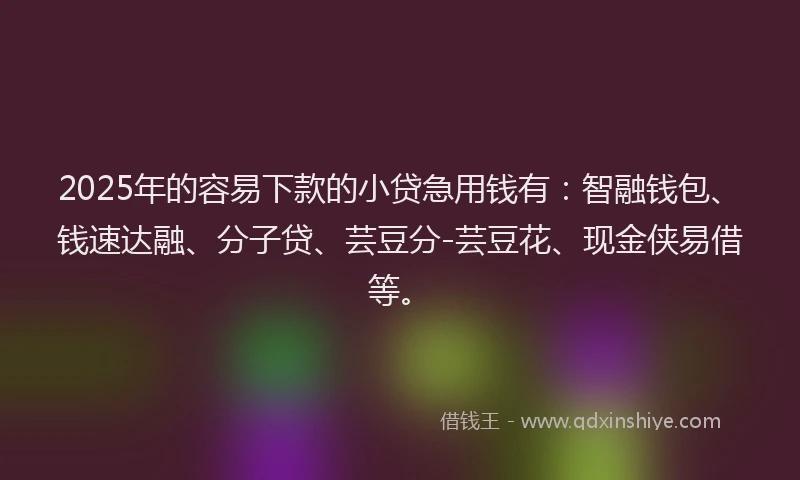 2025年的容易下款的小贷急用钱有：智融钱包、钱速达融、分子贷、芸豆分-芸豆花、现金侠易借等。