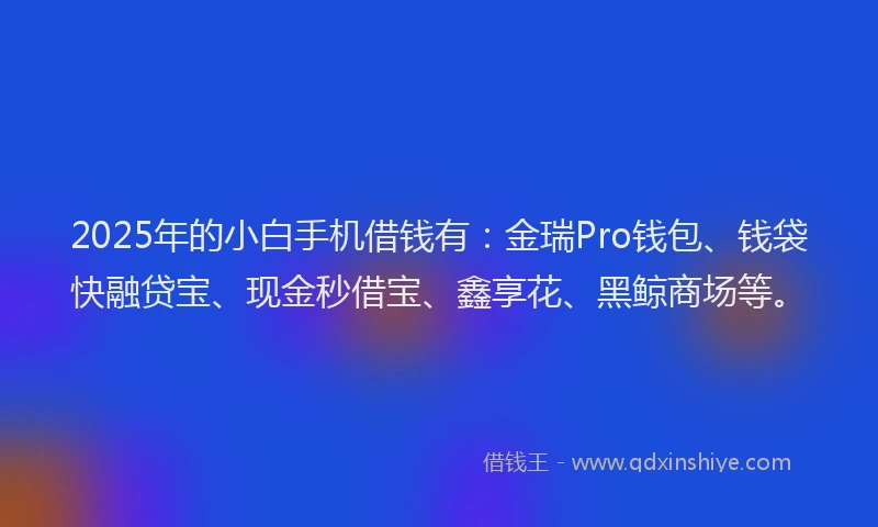 2025年的小白手机借钱有：金瑞Pro钱包、钱袋快融贷宝、现金秒借宝、鑫享花、黑鲸商场等。