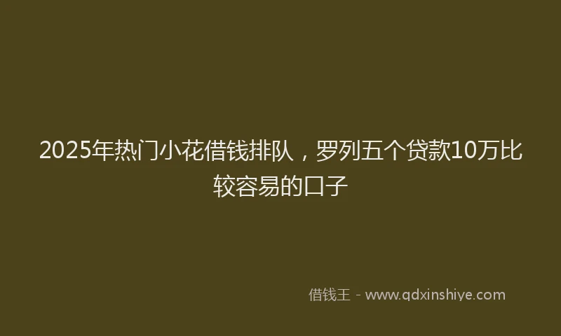 2025年热门小花借钱排队，罗列五个贷款10万比较容易的口子