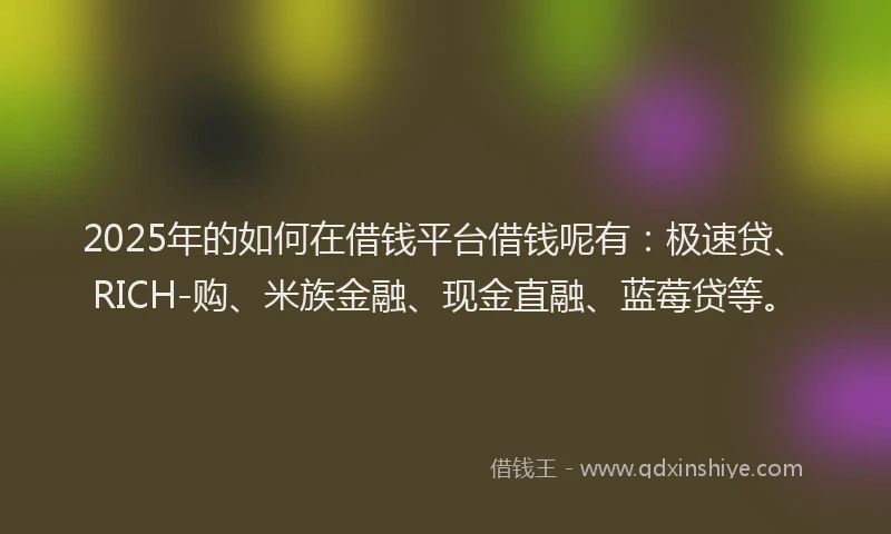 2025年的如何在借钱平台借钱呢有：极速贷、RICH-购、米族金融、现金直融、蓝莓贷等。