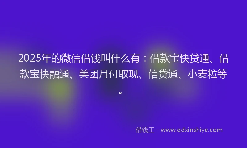 2025年的微信借钱叫什么有：借款宝快贷通、借款宝快融通、美团月付取现、信贷通、小麦粒等。