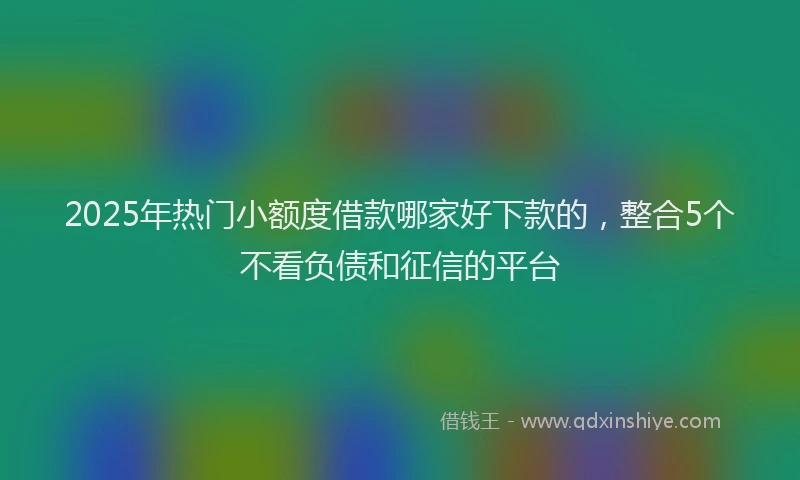 2025年热门小额度借款哪家好下款的，整合5个不看负债和征信的平台