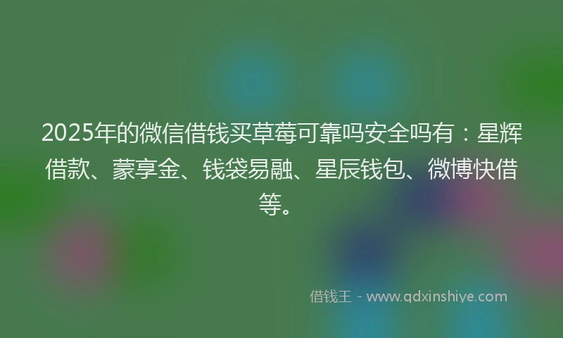 2025年的微信借钱买草莓可靠吗安全吗有：星辉借款、蒙享金、钱袋易融、星辰钱包、微博快借等。