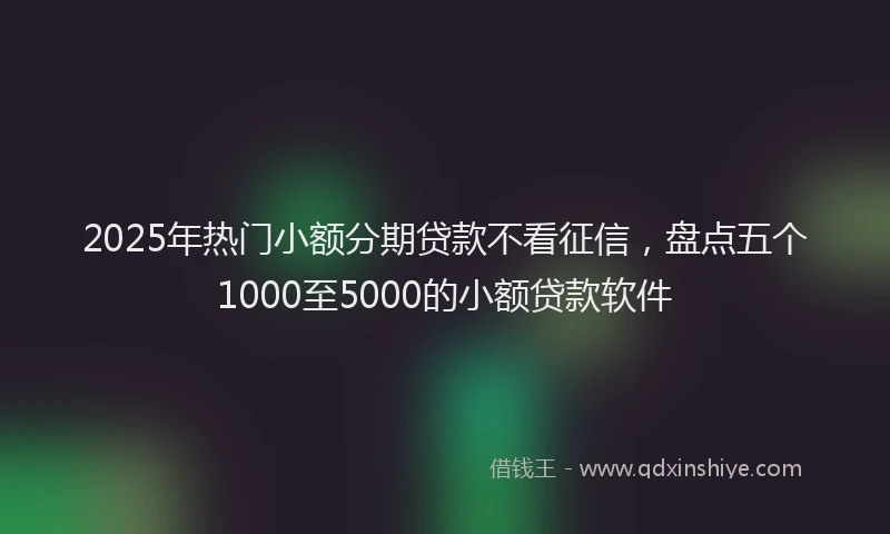 2025年热门小额分期贷款不看征信，盘点五个1000至5000的小额贷款软件