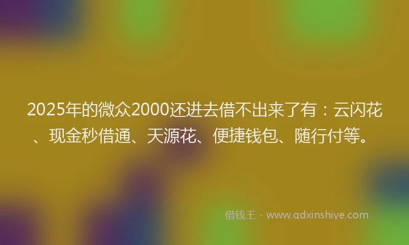 2025年的微众2000还进去借不出来了有：云闪花、现金秒借通、天源花、便捷钱包、随行付等。