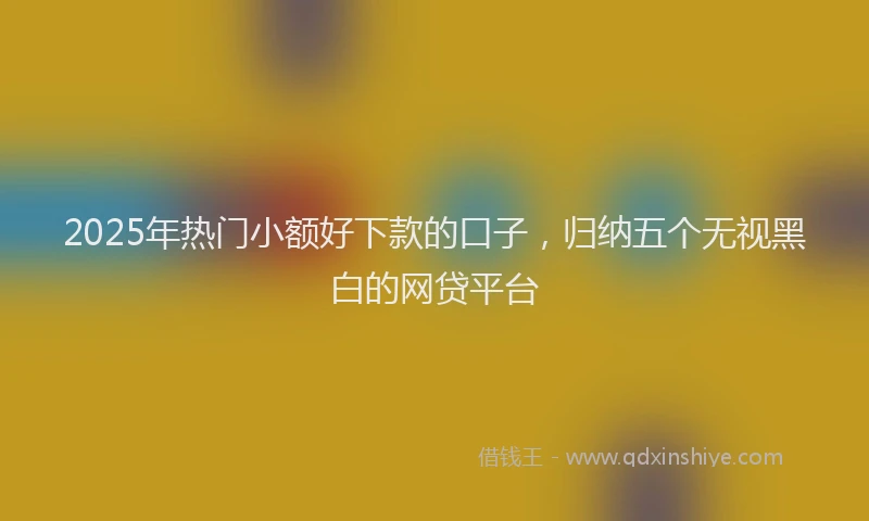 2025年热门小额好下款的口子，归纳五个无视黑白的网贷平台