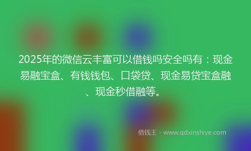 2025年的微信云丰富可以借钱吗安全吗有：现金易融宝盒、有钱钱包、口袋贷、现金易贷宝盒融、现金秒借融等。