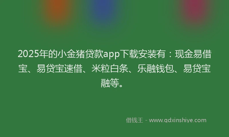 2025年的小金猪贷款app下载安装有：现金易借宝、易贷宝速借、米粒白条、乐融钱包、易贷宝融等。