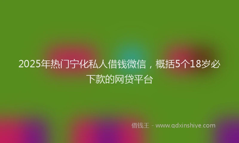 2025年热门宁化私人借钱微信，概括5个18岁必下款的网贷平台