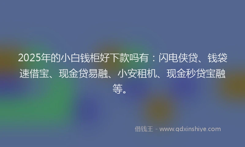 2025年的小白钱柜好下款吗有：闪电侠贷、钱袋速借宝、现金贷易融、小安租机、现金秒贷宝融等。