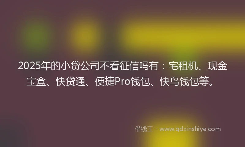 2025年的小贷公司不看征信吗有：宅租机、现金宝盒、快贷通、便捷Pro钱包、快鸟钱包等。