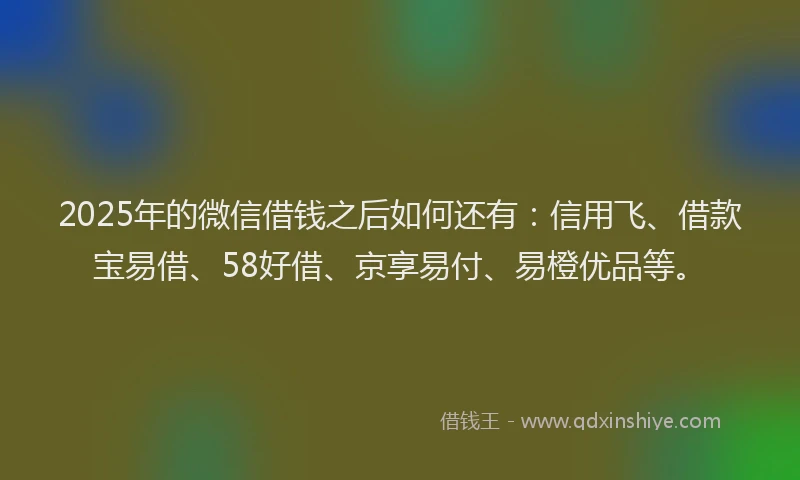 2025年的微信借钱之后如何还有：信用飞、借款宝易借、58好借、京享易付、易橙优品等。