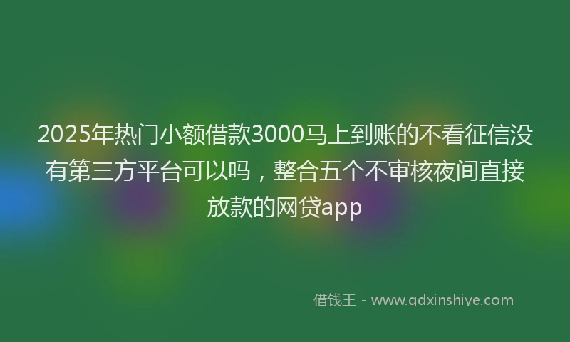 2025年热门小额借款3000马上到账的不看征信没有第三方平台可以吗，整合五个不审核夜间直接放款的网贷app