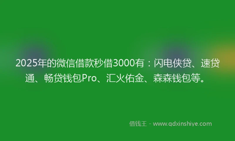 2025年的微信借款秒借3000有：闪电侠贷、速贷通、畅贷钱包Pro、汇火佑金、森森钱包等。