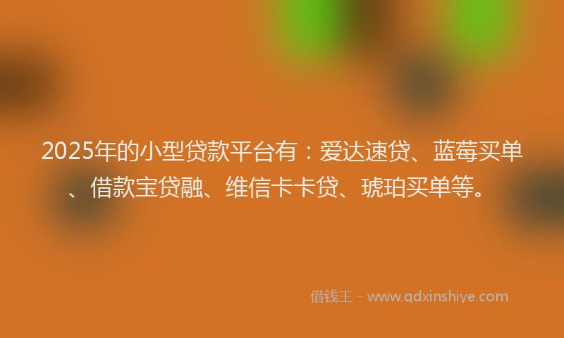 2025年的小型贷款平台有：爱达速贷、蓝莓买单、借款宝贷融、维信卡卡贷、琥珀买单等。