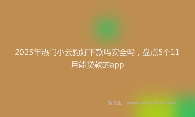 2025年热门小云豹好下款吗安全吗，盘点5个11月能贷款的app