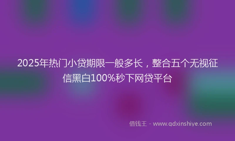 2025年热门小贷期限一般多长，整合五个无视征信黑白100%秒下网贷平台