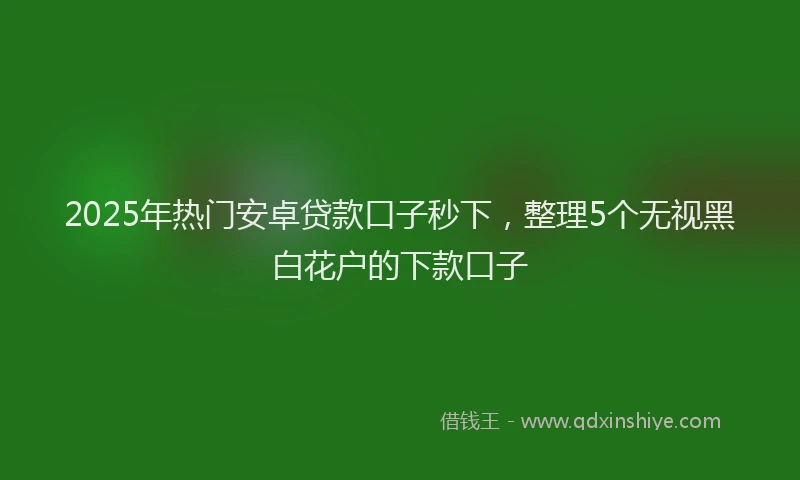 2025年热门安卓贷款口子秒下，整理5个无视黑白花户的下款口子