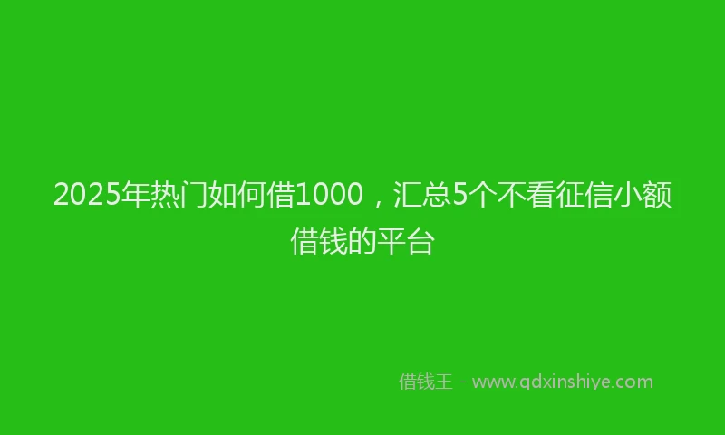 2025年热门如何借1000，汇总5个不看征信小额借钱的平台