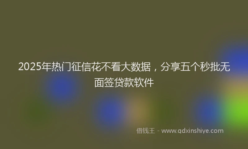 2025年热门征信花不看大数据，分享五个秒批无面签贷款软件