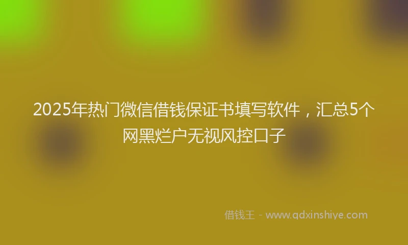 2025年热门微信借钱保证书填写软件，汇总5个网黑烂户无视风控口子