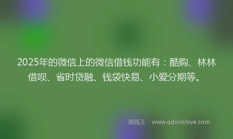 2025年的微信上的微信借钱功能有：酷购、林林借呗、省时贷融、钱袋快易、小爱分期等。