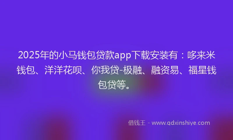 2025年的小马钱包贷款app下载安装有：哆来米钱包、洋洋花呗、你我贷-极融、融资易、福星钱包贷等。
