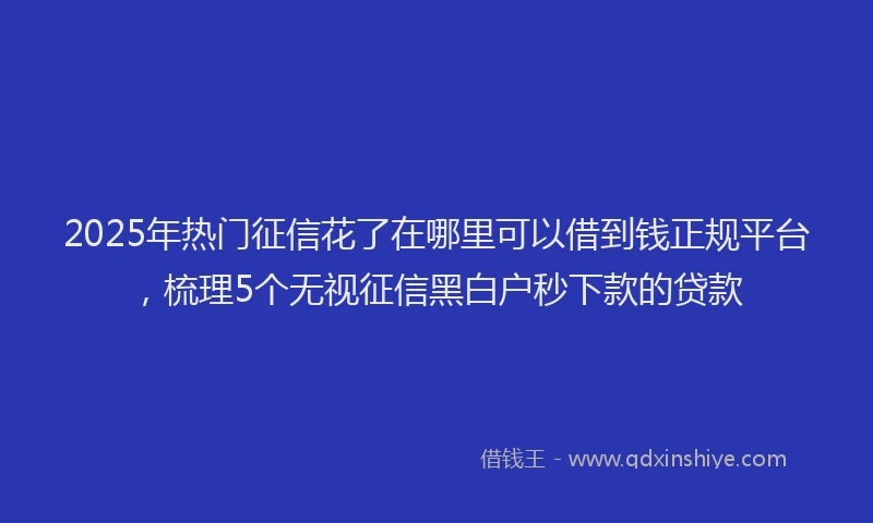 2025年热门征信花了在哪里可以借到钱正规平台，梳理5个无视征信黑白户秒下款的贷款