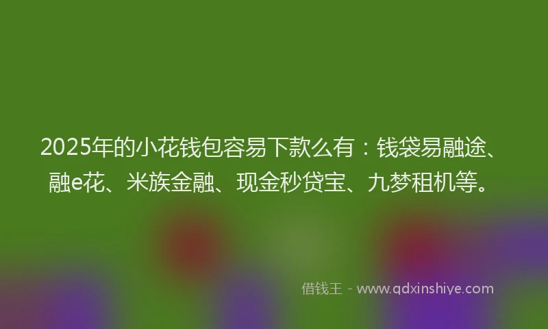 2025年的小花钱包容易下款么有：钱袋易融途、融e花、米族金融、现金秒贷宝、九梦租机等。