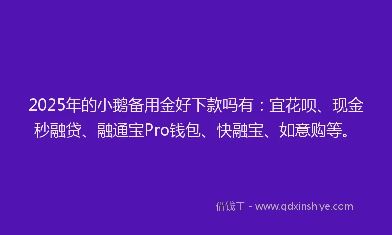 2025年的小鹅备用金好下款吗有：宜花呗、现金秒融贷、融通宝Pro钱包、快融宝、如意购等。