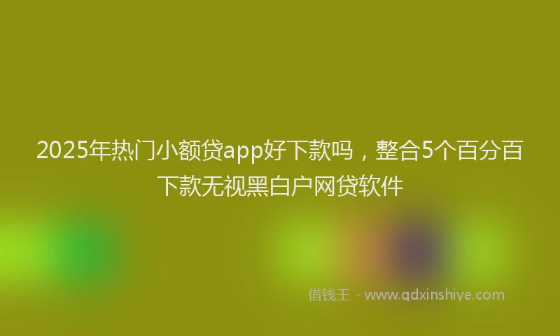 2025年热门小额贷app好下款吗，整合5个百分百下款无视黑白户网贷软件