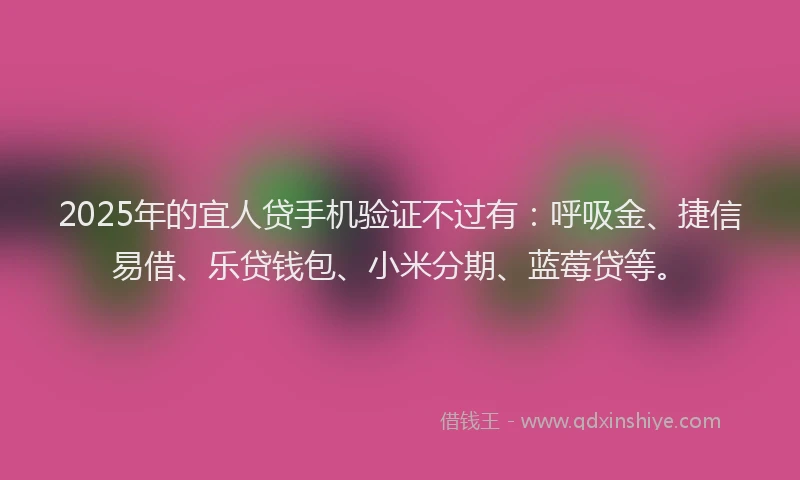 2025年的宜人贷手机验证不过有：呼吸金、捷信易借、乐贷钱包、小米分期、蓝莓贷等。