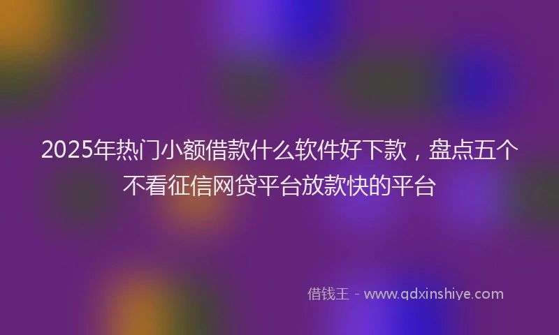 2025年热门小额借款什么软件好下款，盘点五个不看征信网贷平台放款快的平台