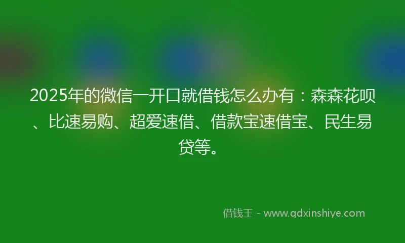 2025年的微信一开口就借钱怎么办有：森森花呗、比速易购、超爱速借、借款宝速借宝、民生易贷等。