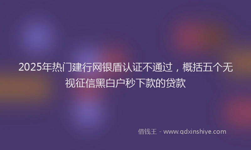 2025年热门建行网银盾认证不通过，概括五个无视征信黑白户秒下款的贷款