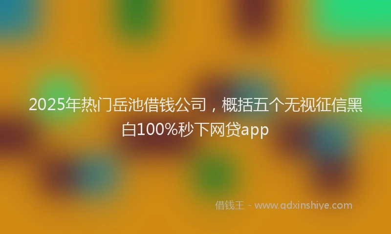 2025年热门岳池借钱公司，概括五个无视征信黑白100%秒下网贷app