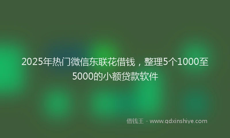 2025年热门微信东联花借钱，整理5个1000至5000的小额贷款软件