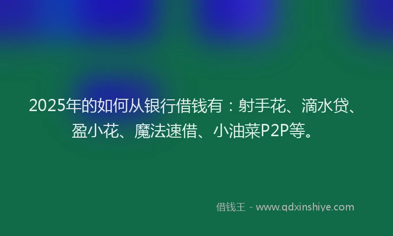 2025年的如何从银行借钱有：射手花、滴水贷、盈小花、魔法速借、小油菜P2P等。