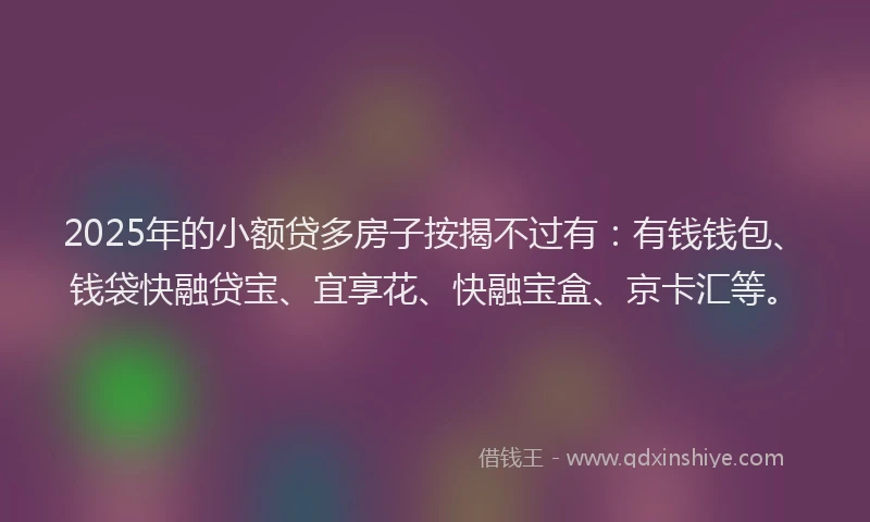 2025年的小额贷多房子按揭不过有：有钱钱包、钱袋快融贷宝、宜享花、快融宝盒、京卡汇等。