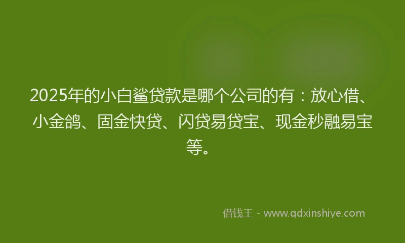2025年的小白鲨贷款是哪个公司的有：放心借、小金鸽、固金快贷、闪贷易贷宝、现金秒融易宝等。