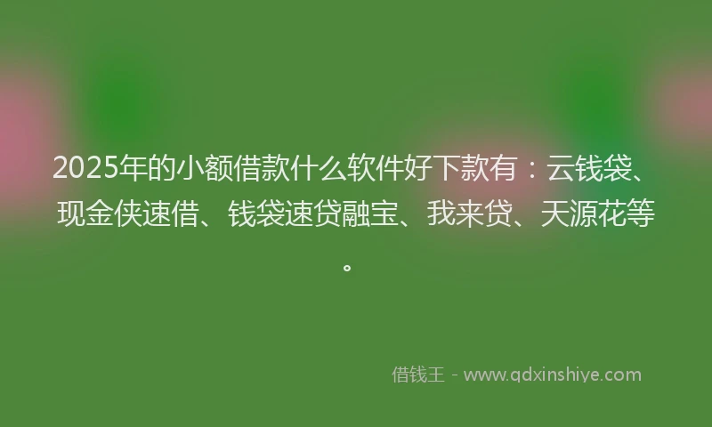 2025年的小额借款什么软件好下款有：云钱袋、现金侠速借、钱袋速贷融宝、我来贷、天源花等。