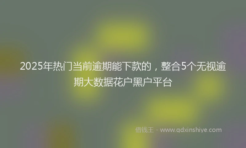 2025年热门当前逾期能下款的，整合5个无视逾期大数据花户黑户平台