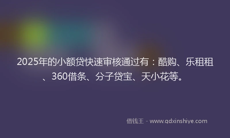 2025年的小额贷快速审核通过有：酷购、乐租租、360借条、分子贷宝、天小花等。