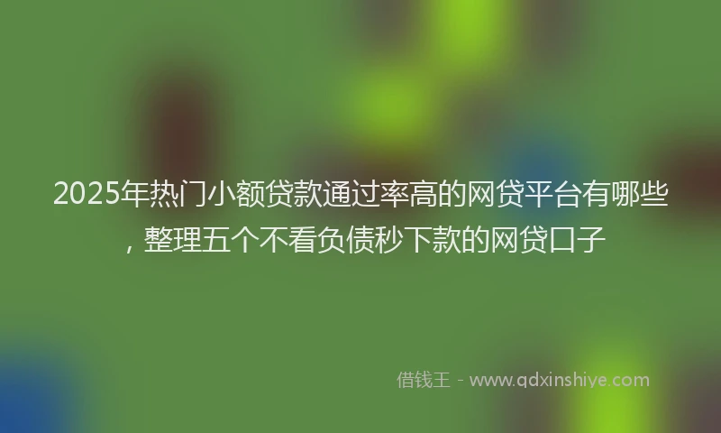 2025年热门小额贷款通过率高的网贷平台有哪些，整理五个不看负债秒下款的网贷口子