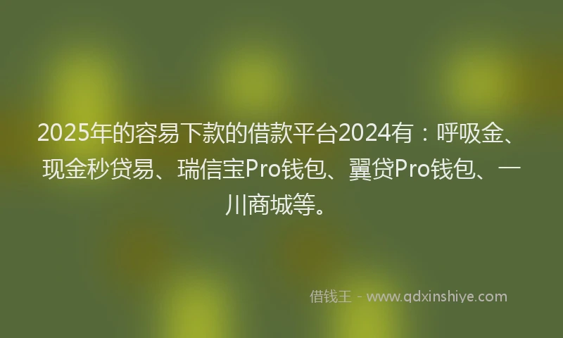 2025年的容易下款的借款平台2024有：呼吸金、现金秒贷易、瑞信宝Pro钱包、翼贷Pro钱包、一川商城等。
